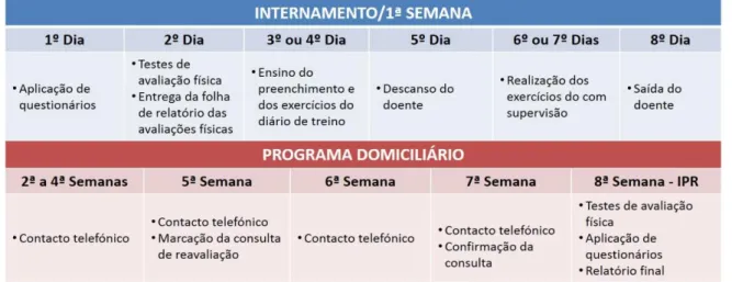 Tabela 10 - Timeline do Programa de Intervenção no Instituto Português de Reumatologia