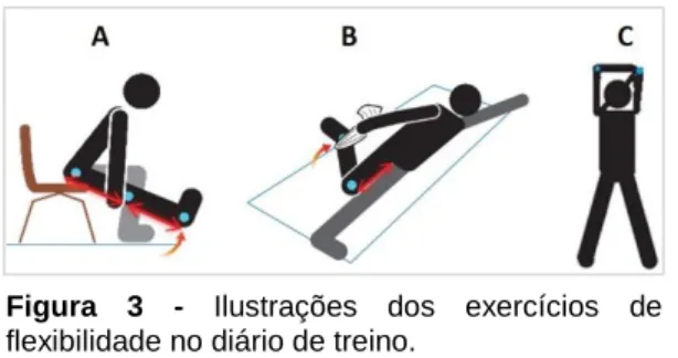Tabela 11 - Articulações e segmentos utilizados nos exercícios de flexibilidade. 