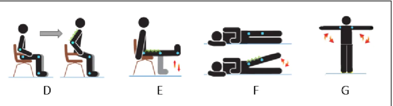 Figura 4 – Exercícios de força muscular do programa domiciliário 