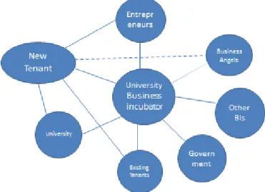 Figure 1. Network of university business incubator 