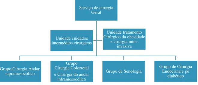 Figura 5- Organograma do Serviço de Cirurgia Geral 