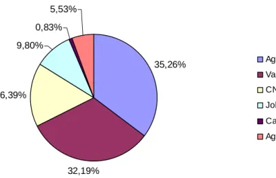 Figura 5. Participação em vendas (%) ao mercado interno por empresa em 2005                               