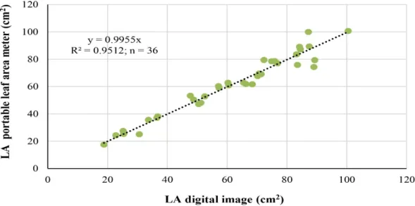 Figure  3. Regression  through  the  origin relating  leaf  area (LA) obtained by the  destructive  method  (portable  leaf  area  meter,  AM350;  BioScientific  ADC)  and  the  non‐destructive  method  (processed  digital images). 