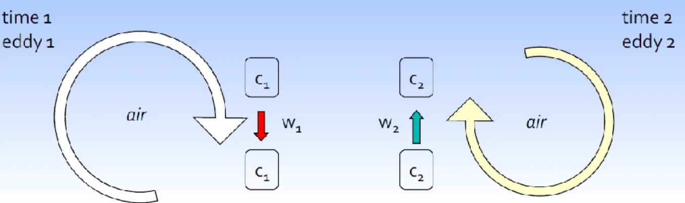 Figure 1: Schematic representation of eddy covariance principles. Source (Burba and Anderson,  2010) 