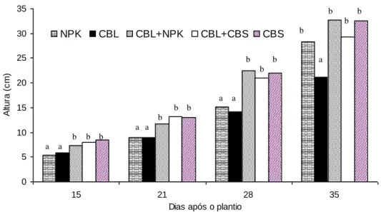 FIGURA  1.4  –  Crescimento  das  mudas  de  brócolis  em  solos  suplementados  com  compostos  orgânicos  (CBS  –  Composto  bioativo  sólido;  CBL  –  Composto  bioativo  líquido), em casa de vegetação