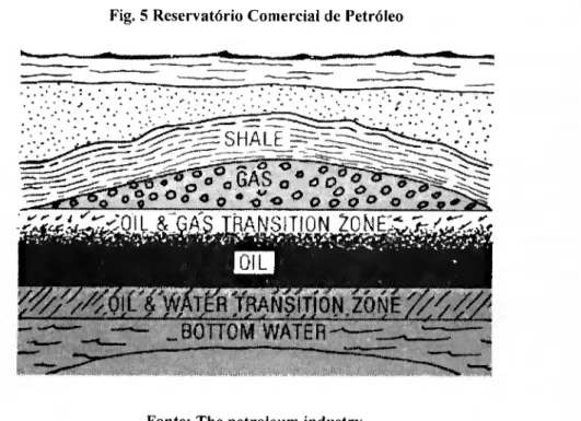 Fig. 5 Reservatório Comercial de Petróleo  y  SHALE  ^-o~õ  • &#34;o* 0  o GAS a* 0 o
