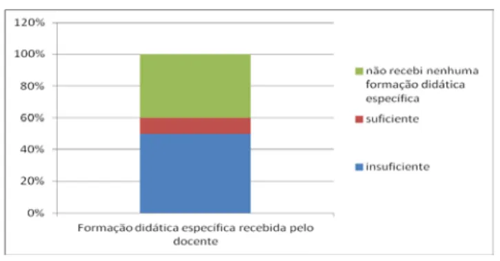 Gráfico 6 - Relato dos docentes sobre sua formação. 