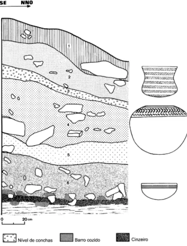 FIG. 4  Perfil estratigráfico da Rotura. A cerâmica campaniforme  surge somente no nível superior