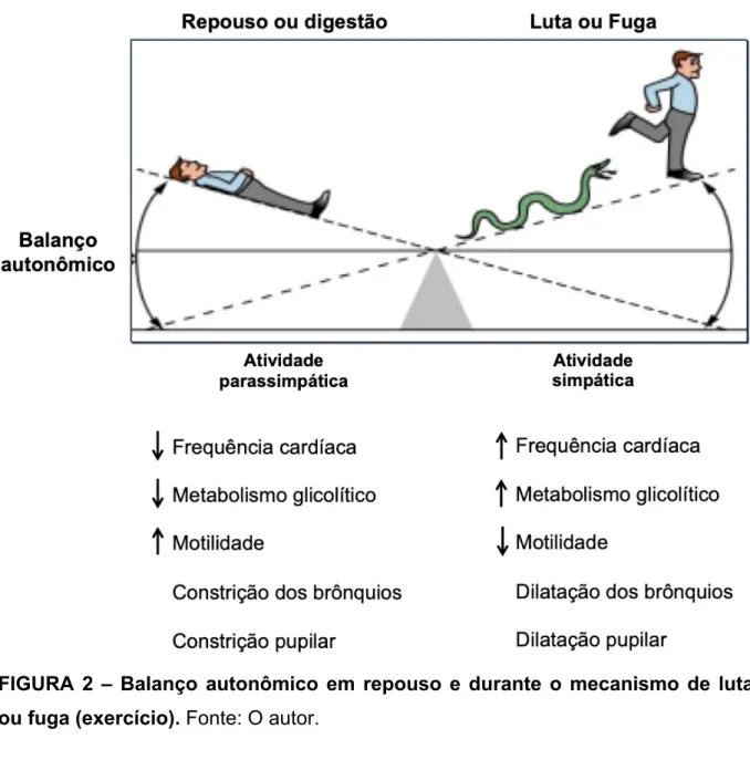 FIGURA  2  –  Balanço  autonômico  em  repouso  e  durante  o  mecanismo  de  luta  ou fuga (exercício)