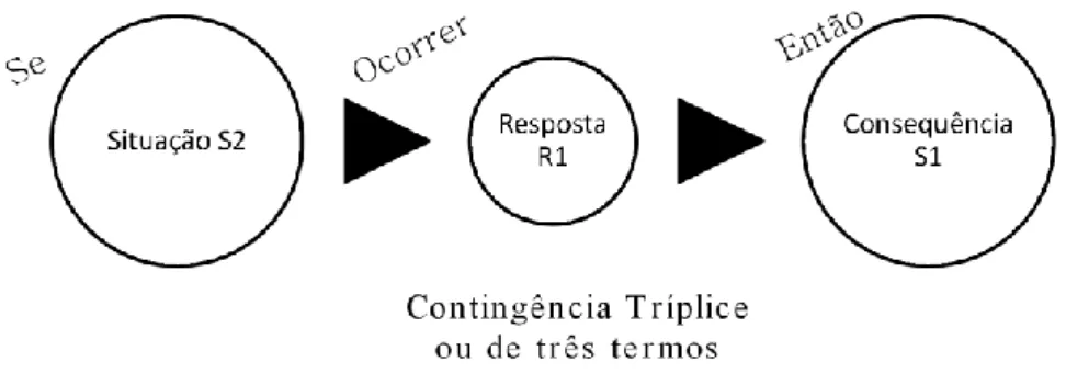 Figura 1: Exemplificação da Contingência Tríplice. 