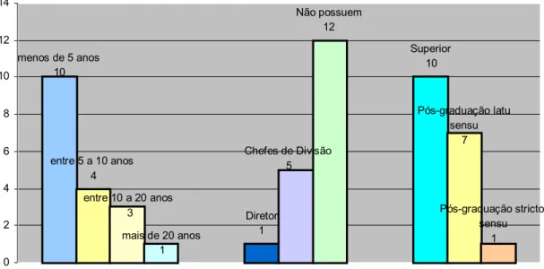 Figura 8 – Perfil dos Analistas