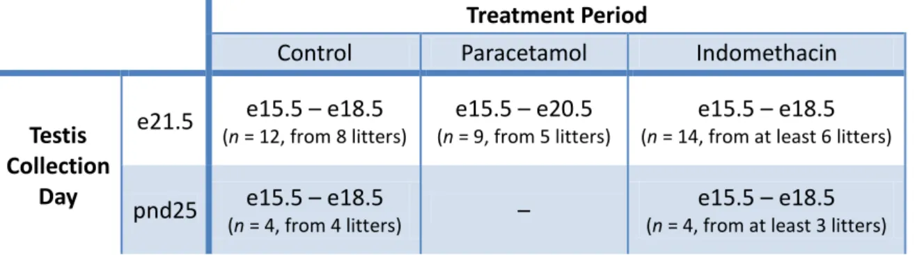 Table  III.  Treatment  details  during  rat  fetal  development  regarding  the  testis  collection  day  (e,  embryonic day; pnd, postnatal day)