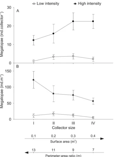 Fig. 1.1. Carcinus maenas. Average settlement of megalopae on the different size' collectors at low  and  high  settlement  intensity  periods  (A)  as  ind.collector -1   and  (B)  as  ind.m -2 