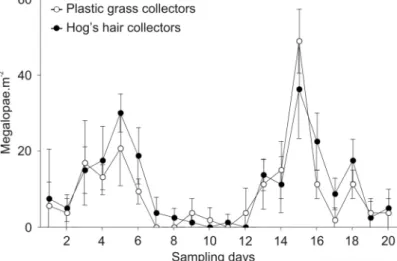 Fig. 1.3.  Carcinus  maenas. Average daily settlement of megalopae on plastic grass and hog's hair  collectors