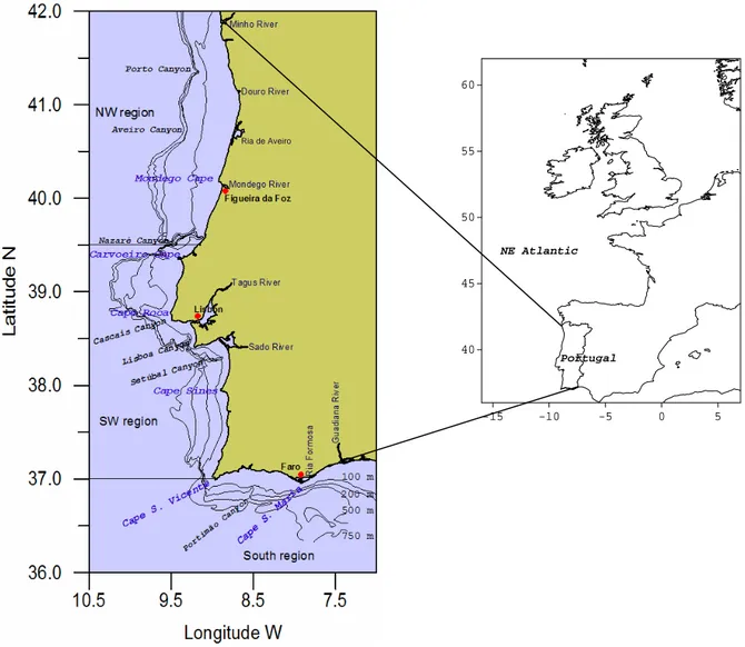 Figure 4 - General bathymetry and location of the main rivers, capes and submarine  canyons