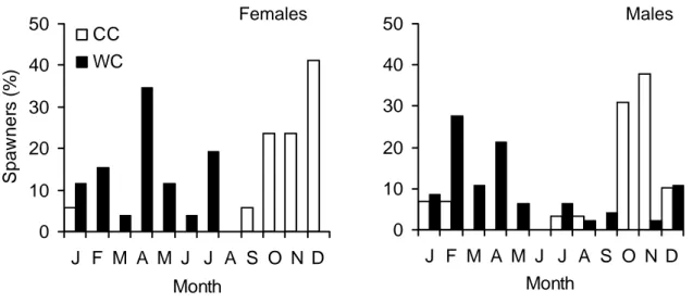Figure 12 - Percentage of female or male spawners by month from the total spawners in the  cold cohort (CC) and in the warm cohort (WC)