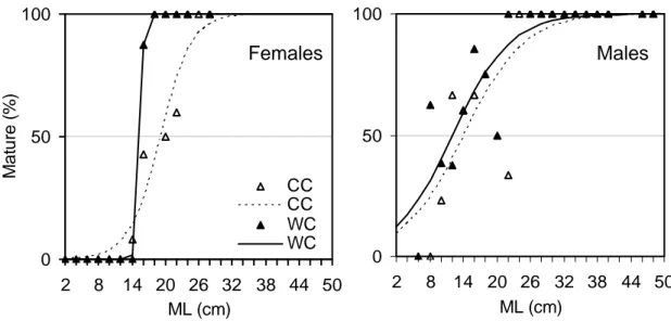Figure 14 - Percentage of mature females and males by size class and estimated maturity  ogives for the cold cohort (CC) and the warm cohort (WC)