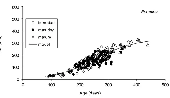 Figure 19 - The relationship between age and mantle length for Loligo vulgaris females