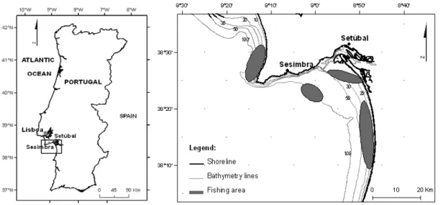 Figure 3.1. Map of the study area with the location of the fishing area of the vessels surveyed