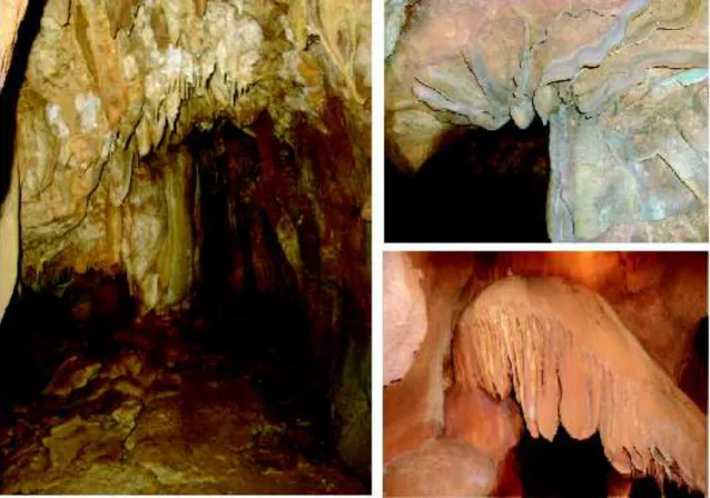 Figure 2.1 Photos of some mineral cave deposits (speleothems) from Excentricas Cave (Algarve, Portugal)