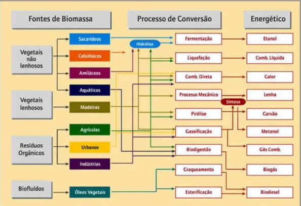 Figura 8 – Principais processos de conversão e classificação de biomassa. 44