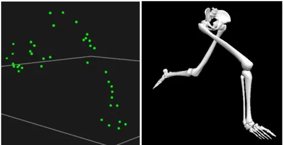 Figura  14.  Representação  virtual  do  modelo  biomecânico  criado.  Representação  gráfica  dos  marcadores (à esquerda) e visualização da modelação óssea no Visual 3D (à direita)