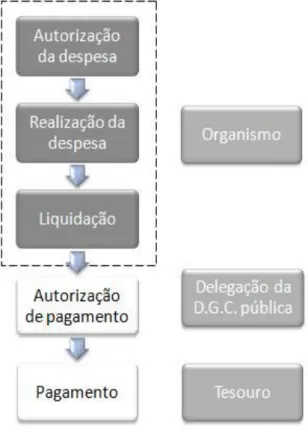 Figura 4.2. Serviço com autonomia administrativa antes do RAFE 