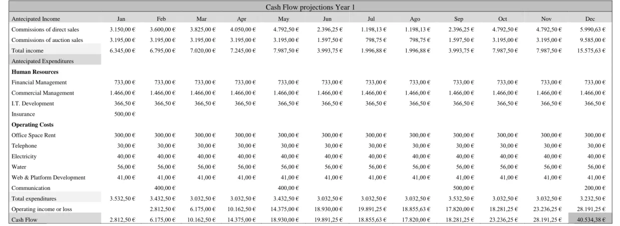 Table 1.1 – Cash flow projection in Year 1