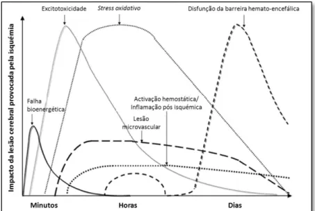 Figura  1  –  Cascata  de  processos  biológicos  que  ocorrem  após  um  evento  isquémico (Saenger &amp; Christenson, 2010)