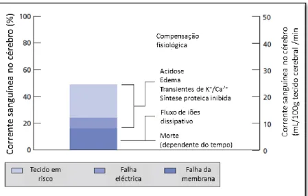 Figura 7 – Limiar da corrente sanguínea cerebral para a disfunção celular e morte  (Adaptado de Warlow et al