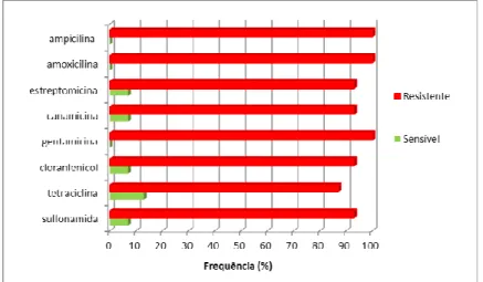 Figura  7.  Perfil  de  suscetibilidade  dos  isolados  de  Klebsiella  pneumoniae  do  Grupo  A  (1980-1989)  aos  antibióticos mais frequentemente utilizados  nos anos 80