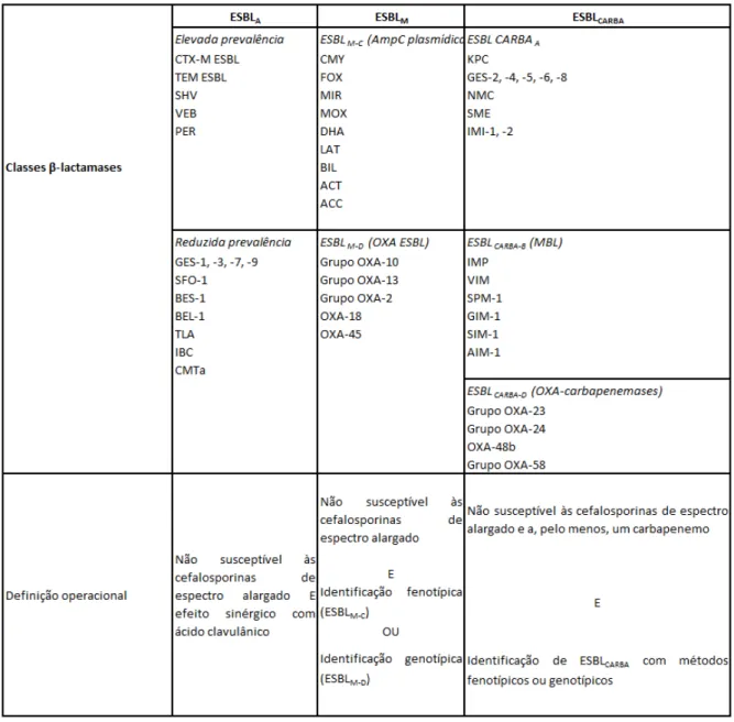 Tabela 1. Proposta de classificação das β-lactamases de acordo com suscetibilidade antimicrobiana: ESBL  de  classe  A  (ESBL A ),  ESBL  variadas  (ESBL M )  e  ESBL  com  actividade  hidrolítica  aos  carbapenemos  (ESBL CARBA )