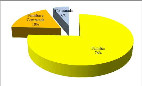 Gráfico 9: Mão de obra ocupada 