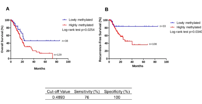 Figure 7. THOR can predict survival and recurrence in pancreatic cancer. Kaplan-Meier curve for  (A) overall survival and (B) recurrence-free survival of pancreatic cancer patients