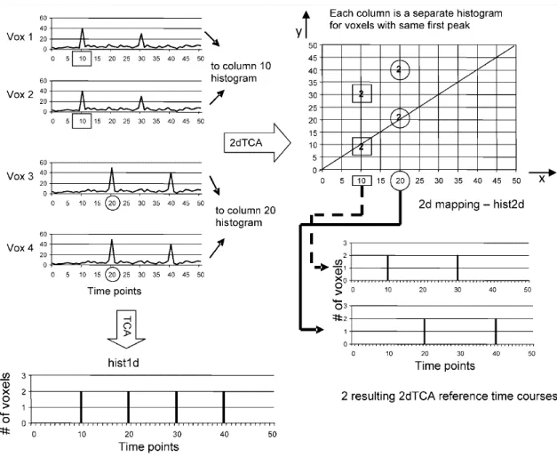 Fig. 6- Graphical depiction of the TCA and 2dTCA algorithms showing how multiple reference time courses are created by  the 2dTCA algorithm when multiple different voxel time courses are present in the data (Morgan et al