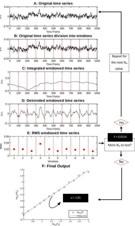 Fig. 23- Illustration of DFA algorithm steps. For this example a 1/f noise time series was created with a length of 1000  time points
