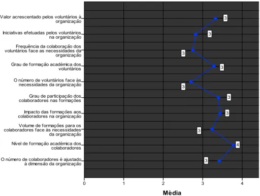 Gráfico  6  -  Caracterização  dos  Colaboradores  e  Voluntário  segundo  a  visão  das  organizações