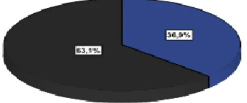 Gráfico 8- Fontes dos fundos das organizações da sociedade civil em Portugal. 