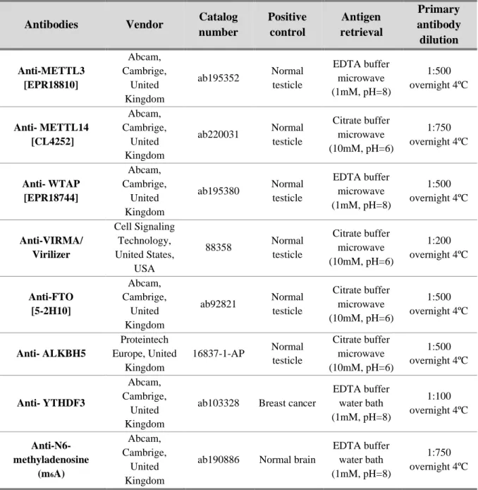 Table 1. Primary antibodies used in Immunohistochemistry