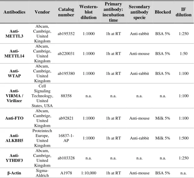 Table 3. Primary antibodies used in Western blot and Immunofluorescence 
