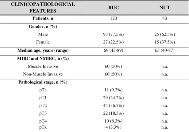 Table 4. Clinicopathological parameters of the bladder cancer patients 