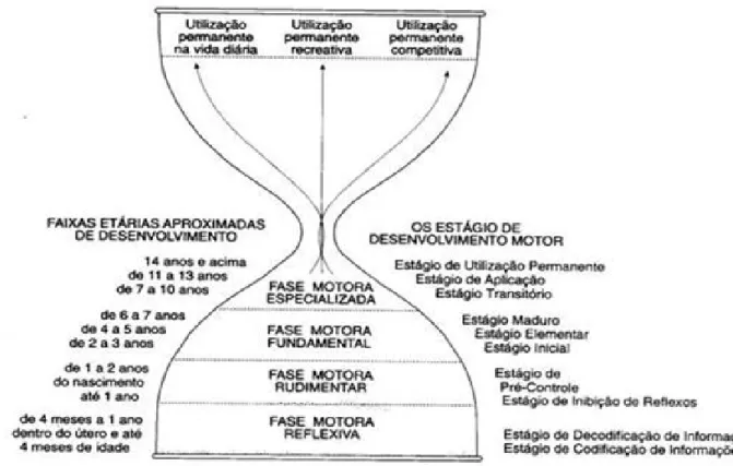 Figura 1 – Faixas etárias aproximadas de desenvolvimento e estágios de desenvolvimento motor