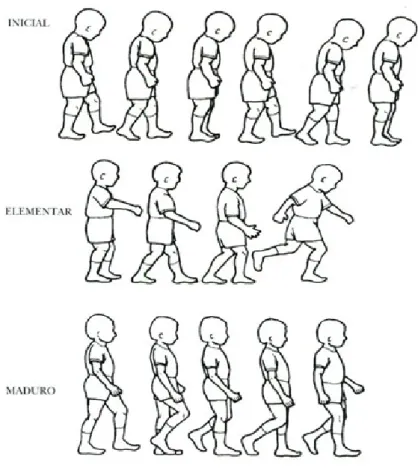 Figura 3 – Caminhada direcionada