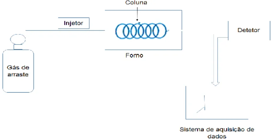 Fig. 6:Principais componentes de um cromatógrafo gasoso. 