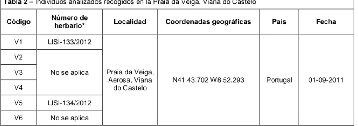 Tabla 2 – Individuos analizados recogidos en la Praia da Veiga, Viana do Castelo  Código   Número de 