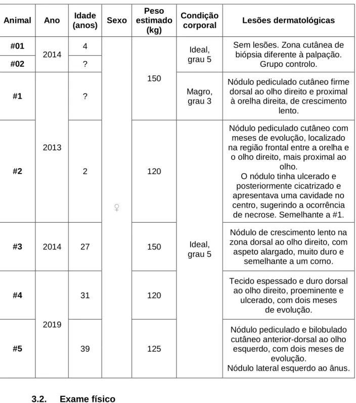 Tabela 2. Ano, idade, sexo, peso estimado, condição corporal e lesões dermatológicas de cada  animal