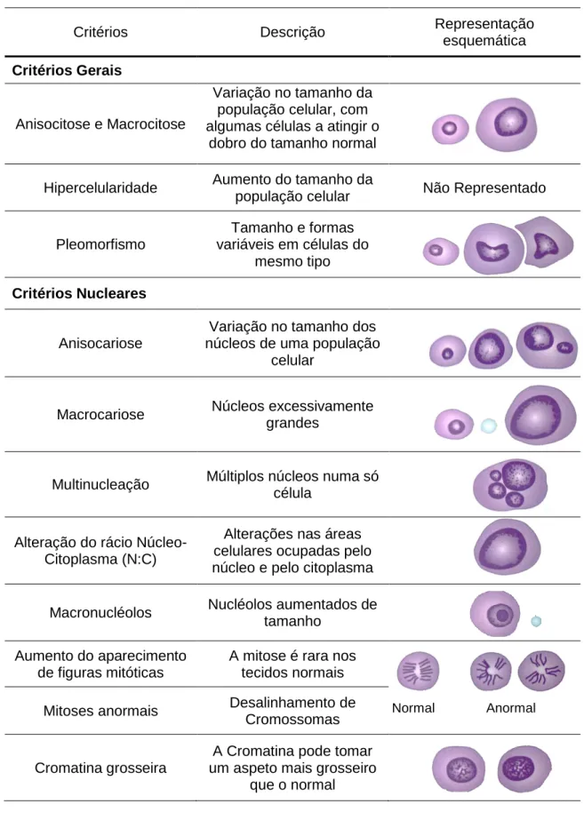 Tabela 1 - Critérios gerais e nucleares de malignidade (adaptado de Cowell and Tyler’s Diagnostic Cytology  and Hematology of the dog and cat 2014)