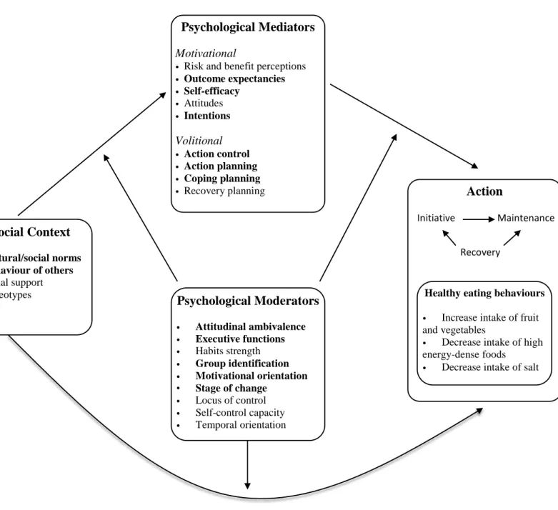 Figure 1. Conceptual framework depicting social and psychological predictors 