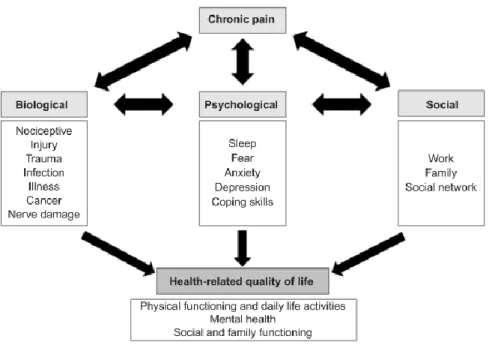 Figura 5 – Impacto da dor crónica na qualidade de vida, segundo o modelo  biopsicossocial (23) 