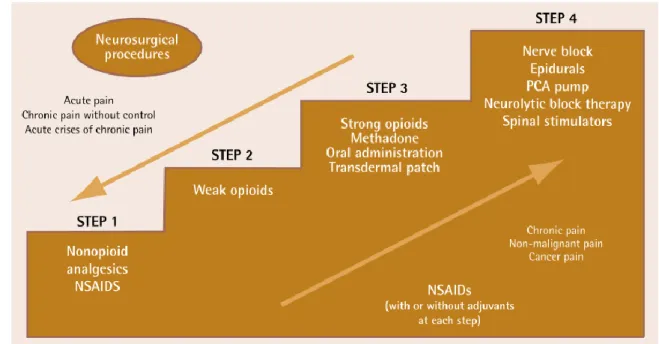 Figura 7 – Nova adaptação da escada analgésica (32) 